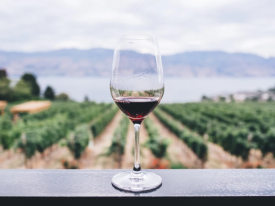 Partita iva per sommelier in regime forfettario