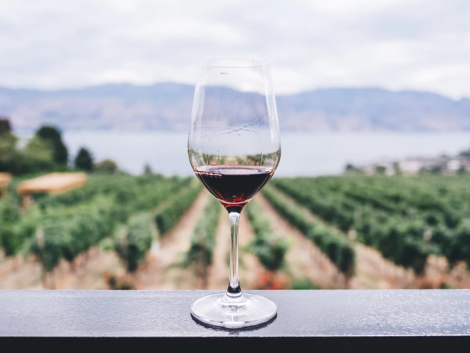 Partita iva per sommelier in regime forfettario